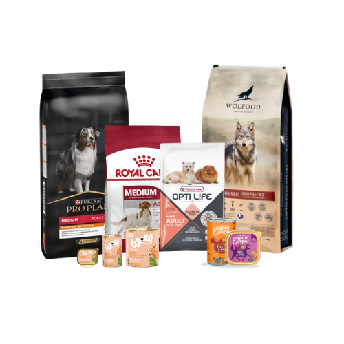 Aliments pour chien